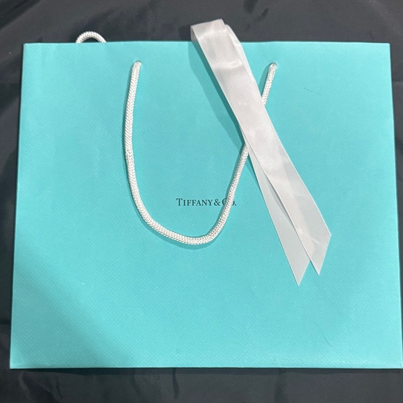 Tiffany & Co. Turquoise Shopping Bag with White Ribbon - Picture 1 of 3